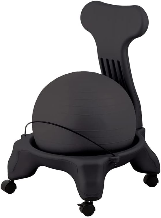 Ergonomic Fit Pro Ball Chair