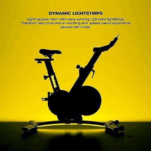 Freebeat Boom Basic Smart Indoor Cycling Bike, Swiss Design Space-Saving Exercise Bike for Home, Auto Resistance, Bluetooth, Gamified Rides with Expert Instructors