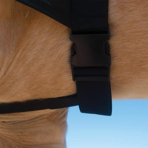 BENEFAB Therapeutic Lycra Horse Hood | Far-Infrared and Magnetic Therapy | Keeping Neck & Shoulders Warm & Relaxed | Reduce Pain & Stiffness | Better Performance & Recovery (Large)