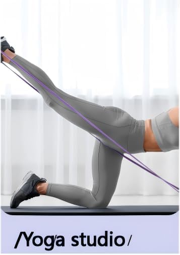 Resistance Bands Set, Loop Bands for Strength Training, 4 Levels (5-15, 15-35, 30-60, 40-80 Lbs), Latex, Multi-Color, Pull Up Assistance