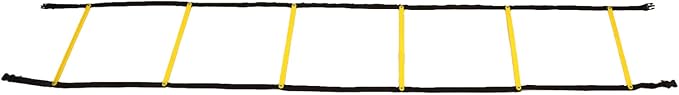 Agility Ladder, Speed Training Equipment with High Density Belt and Non Slip Rungs, for Football Basketball Agility Training to Improve Balance Speed Reflexes, Includes Carry