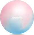 APEXUP Yoga Ball Exercise Ball Anti Slip Heavy Duty for Fitness, Balance & Core Workout