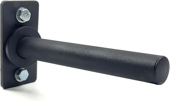 Trenbon Standard Wall Mount Weight Plate Holder for 1" Standard Weight Plate & Wall Mount Storage, 100lb Capacity (Black Single)