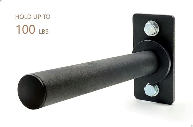 Trenbon Standard Wall Mount Weight Plate Holder for 1" Standard Weight Plate & Wall Mount Storage, 100lb Capacity (Black Single)