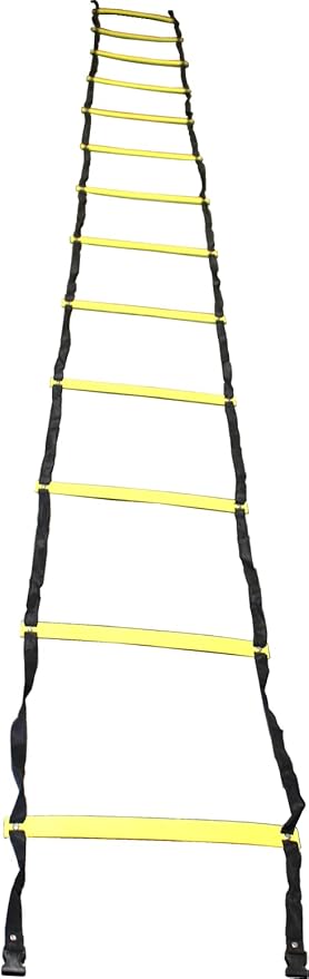 Bluedot Trading Power Running Training Speed Weight Sled, Ladder, Agility Cone Set for Athletic Exercise and Speed Improvement, Conditioning, and Cross-Training