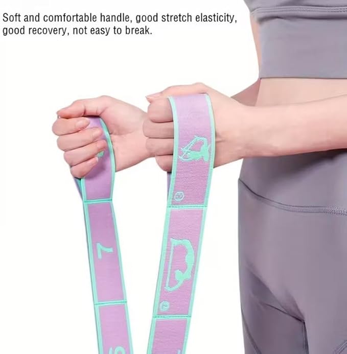 Home Pilates Kit - 12-Segment Resistance Bands + Small Pilates Ball + Random Color Air Pump | Multi-Functional Exercise Bands Resistance an Excellent Yoga Pilates Equipment