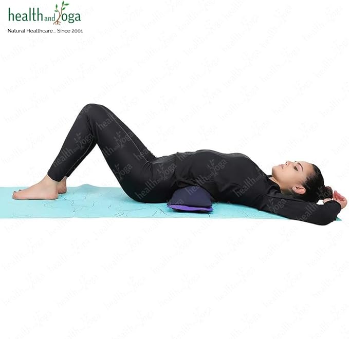 HealthAndYoga™ Yoga Sand Bags - Double Bag with Inner Waterproof Bag - Prop for Adding Weight and Support (Purple)