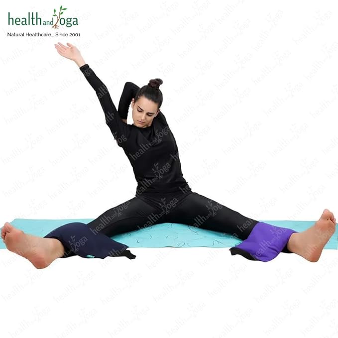 HealthAndYoga™ Yoga Sand Bags - Double Bag with Inner Waterproof Bag - Prop for Adding Weight and Support (Purple)