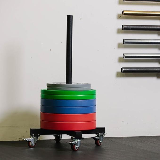 Titan Fitness Portable Vertical Olympic Weight Plate Storage Rack, Mobile Stackable Weight Rack with 800 LB Capacity, Locking Caster Wheels, For Olympic-Sized Cast Iron Steel, Urethane, Bumper Plates