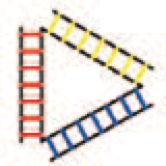 Champion Sports Sectioned Agility Ladder Set, Red/Yellow/Blue/Green, 6.5" x 16" Wide