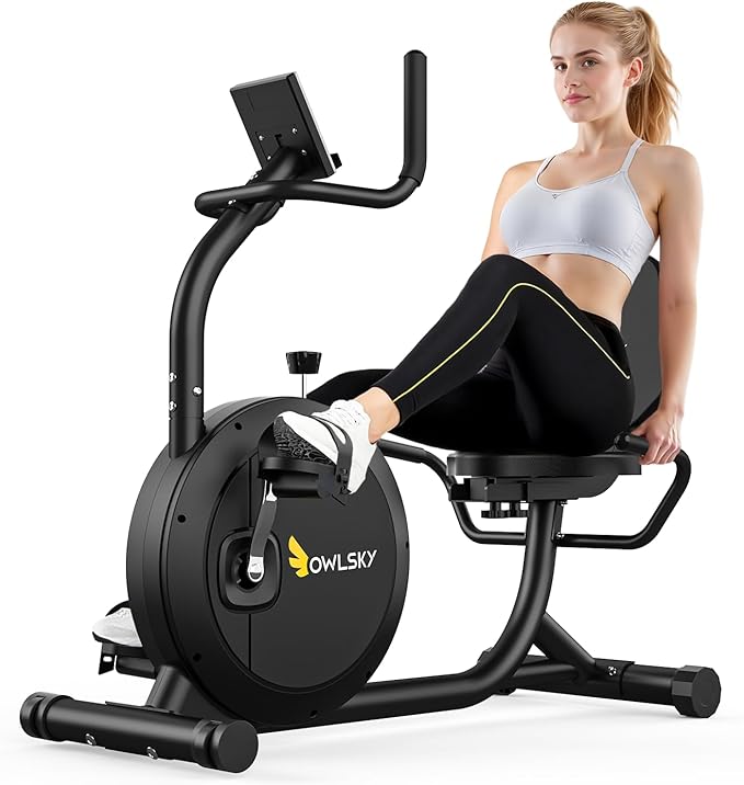 OWLSKY Recumbent Exercise Bike for Home Gym, Magnetic Stationary Bike with 16-Level Resistance, Quiet 15LBS Flywheel, 300LBS Capacity, Low-Impact Cardio & Physical Therapy