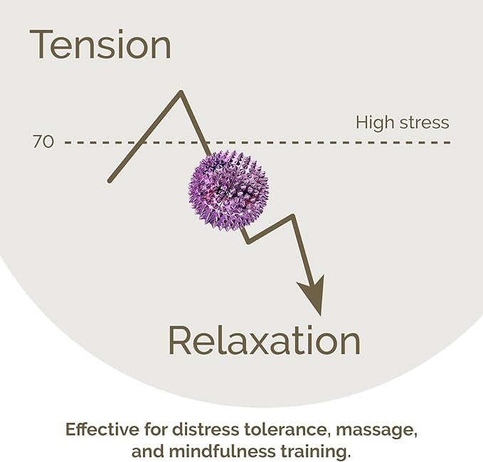 2X Spiky DBT Skill Balls | 2inch | Magnetic Stress Relief Balls | Spiky Massage Balls for Relaxation, Tension Release, Focus & Mobility (Purple)