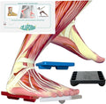 Ankle Foot Exerciser® Ankle Strengthener for ankle sprain relief, Foot Strengthener for plantar fasciitis; Ankle mobility, Posture corrector, Proprioception