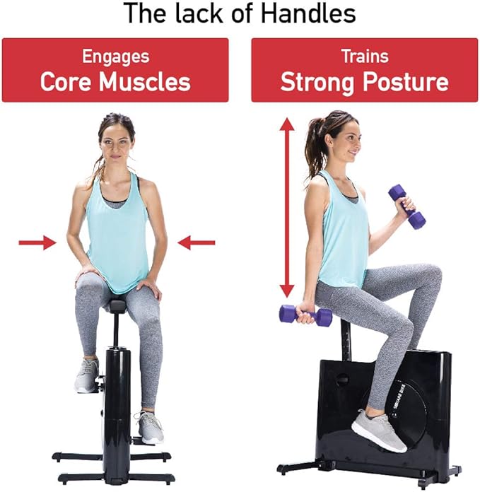 Compact Exercise Bike with 8 Levels of Magnetic Resistance - Stationary Bike For Home & Under Desk Exercise by Daiwa Felicity (Black)