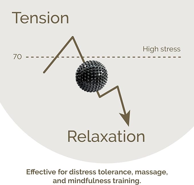 2X Spiky DBT Skill Balls | 2inch | Magnetic Stress Relief Balls | Spiky Massage Balls for Relaxation, Tension Release, Focus & Mobility (Black)