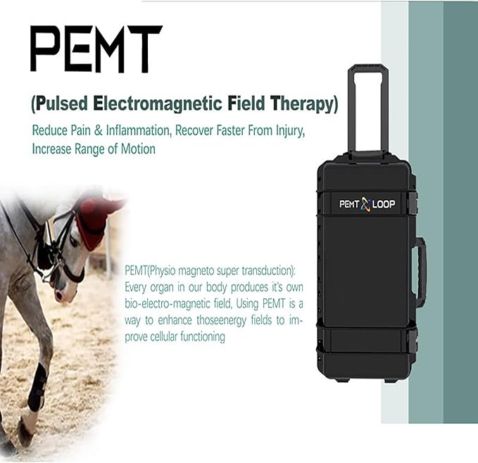 PEMF Therapy Device for Horses - Magnetic Pulse Machine w/X-Wing, Single & Butterfly Loop Attachments - Lameness Relief, Colic Care & Pain Recovery