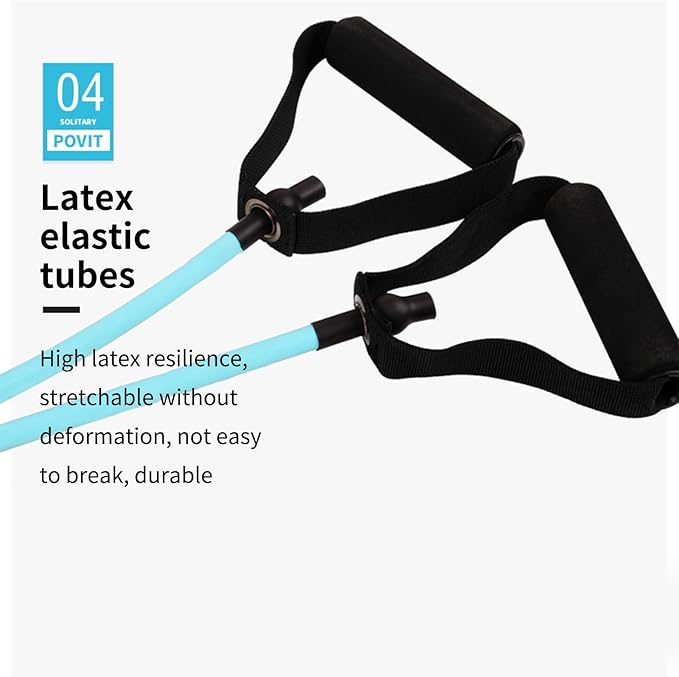 Twist Waist Disc,Waist Workout Core & Ab Exercise | Core Twisting Disc with Calorie Count - for Home Gym Office Fitness Enthusiasts Beginners Post-Partum Individuals