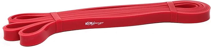Large Loop Resistance Band Pull Up Assist & Power Resistance Band for Strength Training, Muscle Building, Mobility, Home Workouts & Travel