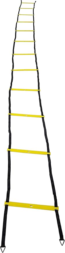 Full Size Agility Ladder and 8 Speed Cones Training Set with Carrying Bag, Great Agility Training Equipment with Drill Charts, Enhance Footwork, Balance Great for Soccer, Football, Hockey Basketball