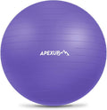 APEXUP Yoga Ball Exercise Ball Anti Slip Heavy Duty for Fitness, Balance & Core Workout