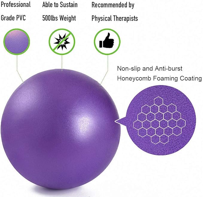 2Pcs Mini Exercise Balls - Professional Grade Anti Burst Heavy Duty and Slip Resistant Small Pilates Ball for Yoga Fitness Stability Barre Balance Training Physical, 9-10 Inch (About 25cm)