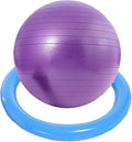SRNSAEB Exercise Ball Seat for Office Desk Height, Ergonomic Balance Ball Chair Stool for Home/Office/School/Gym/Prolonged Sitting, Height Adjustable Pilates Yoga Ball Chair(Purple,65cm(25 3/5in))