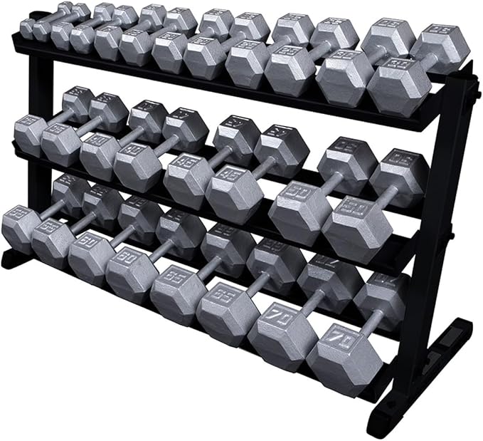 Body-Solid (GDR60B) 2-Tier Dumbbell Rack Stand Only, Heavy-Duty Dumbell Weight Storage Racks for Hand Weights, Home Gym Organizer Can Hold 5-50 lbs. Dumbbells