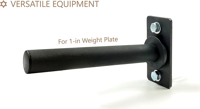 Trenbon Standard Wall Mount Weight Plate Holder for 1" Standard Weight Plate & Wall Mount Storage, 100lb Capacity (Black Single)