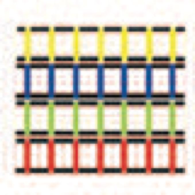 Champion Sports Sectioned Agility Ladder Set, Red/Yellow/Blue/Green, 6.5" x 16" Wide