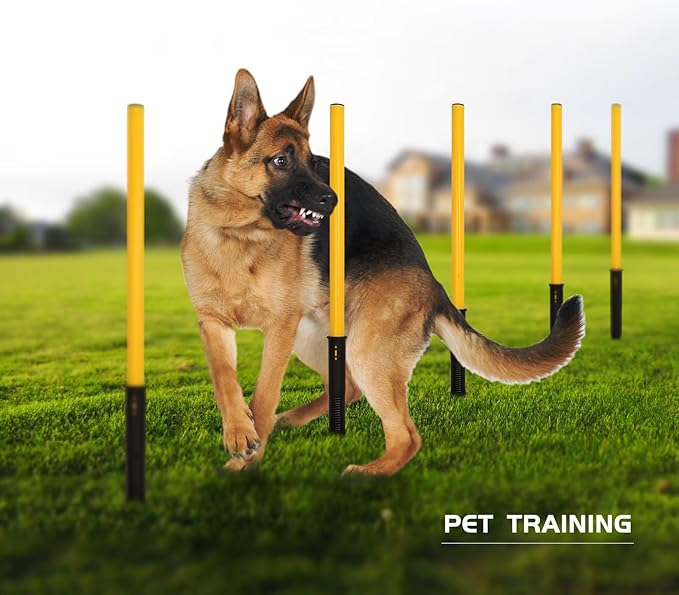 Soccer Agility Training Poles Set: Football Speed Training Equipment with 6Soccer Agility Poles Adjustable Height Hurdles for Basketball Athletes Youth
