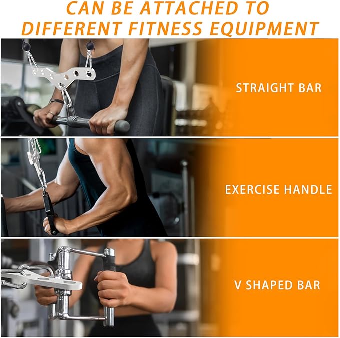 J Bryant Stainless Steel Double to Single Pulley Adaptor Plate for Cable Machine – Fitness Dual Pulley Connector with 3 Carabiners for LAT Pulldown, Triceps Pushdown, and T Bar Row Accessories