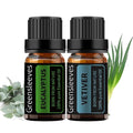 GREENSLEEVES Vetiver Eucalyptus Essential Oil Set, 2 x 10ml Pure Plant-Based Fragrance Oil for Aromatherapy, Essential Oils for Diffuser, Massage, Bath Bomb, Scented Candle Soap Making