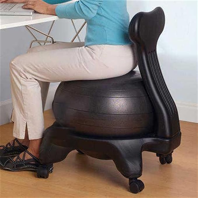 Stability Ball Desk Chair with Wheels & Back Support, Large 55cm Anti-Burst Balls Ergonomic Chairs/Medicine Ball Chair Stand 660 Lb, Adults Students Seniors Exercise Ball Chairs
