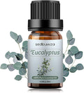 Sedbuwza Eucalyptus Essential Oil, Pure Organic Eucalyptus Fragrance Oil for Diffuser, Humidifier, Soap, Candle, Perfume
