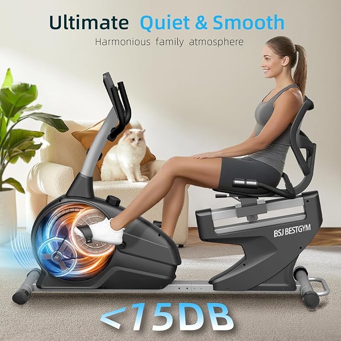 Recumbent Exercise Bike, Quiet Recumbent Stationary Bike for Adults & Seniors, Supports 350LBS, Magnetic Stationary Bike with 8-Level Resistance, Heart Rate Handle & LCD Display