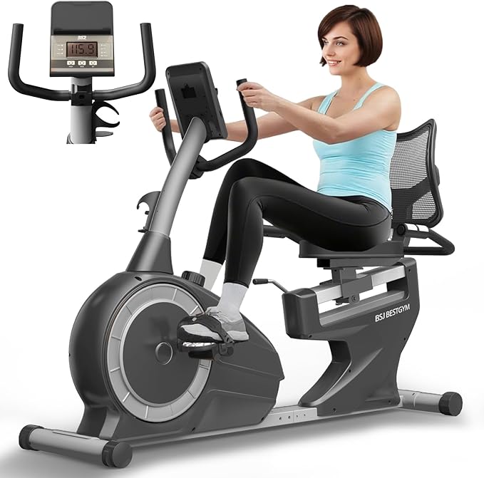 Recumbent Exercise Bike, Quiet Recumbent Stationary Bike for Adults & Seniors, Supports 350LBS, Magnetic Stationary Bike with 8-Level Resistance, Heart Rate Handle & LCD Display