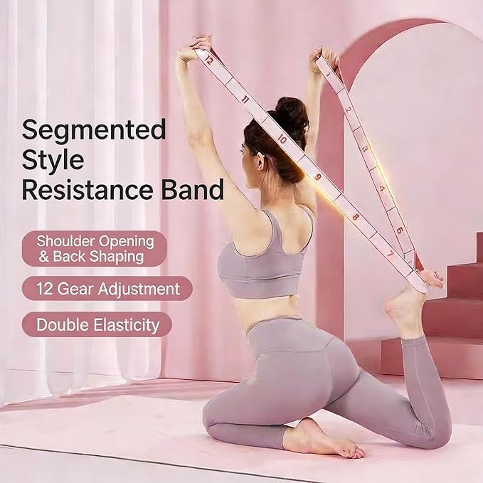 Home Pilates Kit - 12-Segment Resistance Bands + Small Pilates Ball + Random Color Air Pump | Multi-Functional Exercise Bands Resistance an Excellent Yoga Pilates Equipment