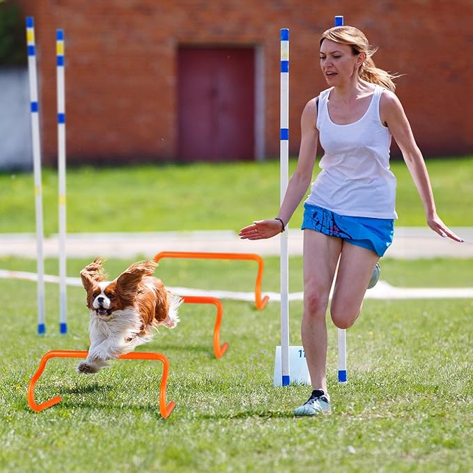 Agility Hurdles Training Equipment - 10 Speed Hurdles and 10 Soccer Cones with Carrying Bag for Soccer, Football, and Track Drills, Ideal for Athletes Speed and Agility Training