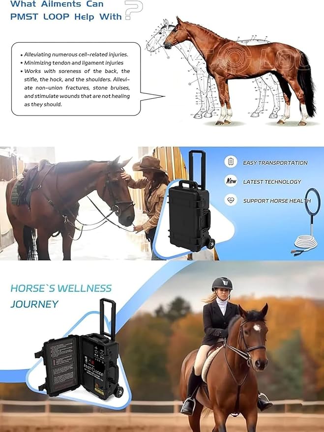 PEMF Therapy Device for Horses - Magnetic Pulse Machine w/X-Wing, Single & Butterfly Loop Attachments - Lameness Relief, Colic Care & Pain Recovery