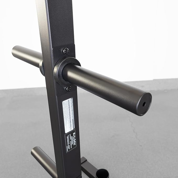 Best Fitness Body-Solid Weight Tree Rack for Olympic Plates - Bumper Plate Storage, Weight Plate Holder, Midnight Black