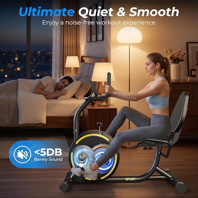 Recumbent Exercise Bike for Home Heavy-Duty Stationary Bike For Seniors Bicycle Exercise Machine Bicycle LCD Monitor,265LBS,8 Level Resistance Black