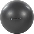 Balanced Body Inflatable Ball, Exercise Ball for Stability, Core Strengthening, and Fitness, Pilates Equipment for Home Gym or Studio Use, 8 Inches to 10 Inches, Storm Gray