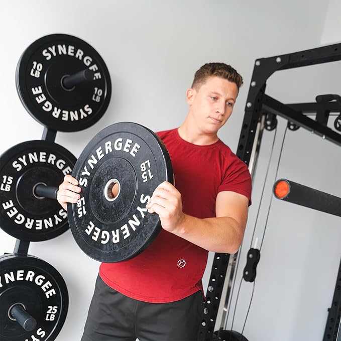 Synergee Weight Plate Storage Rack. Wall Mounted Weight Plate Holder. 4 Pegs with 1000 lb Weight Capacity Storage Rack.