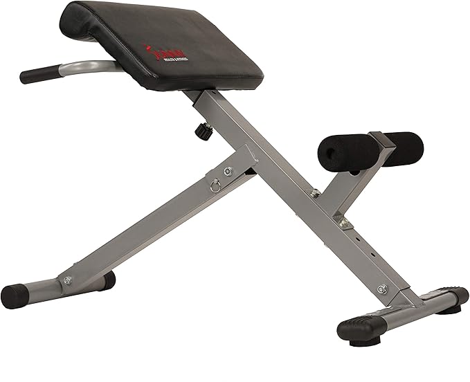 Sunny Health and Fitness 45 Degree Hyperextension Roman Chair, Steel, Grey, One Size + Squat Assist Upright Row-N-Ride Rowing Machine, Horse Riding Machine Full Body Indoor Trainer