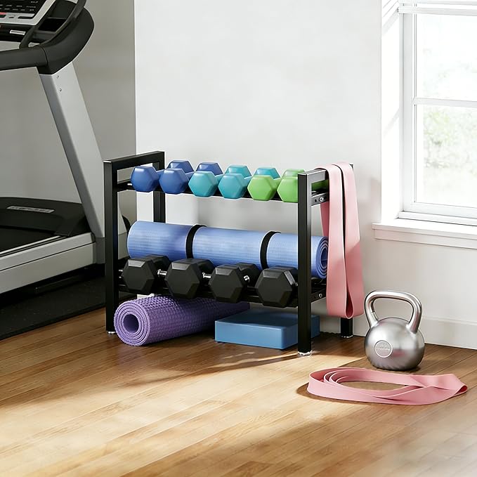 20 IN Dumbbell Rack 2 Tier Adjustable Kettlebell Storage Shelf Heavy-Duty 250LB Space-Saving Weights Stand for Home Gym(Rack Only)