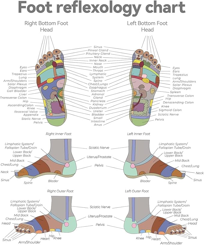 Reflexology Sock with Massage Tools Set, 2 Pairs Socks Acupuncture Trigger Point Foot Pain Relief Remedy Acupoint Birthday Gifts for Women (Women - a Set)