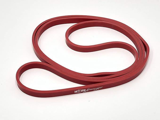 Large Loop Resistance Band Pull Up Assist & Power Resistance Band for Strength Training, Muscle Building, Mobility, Home Workouts & Travel