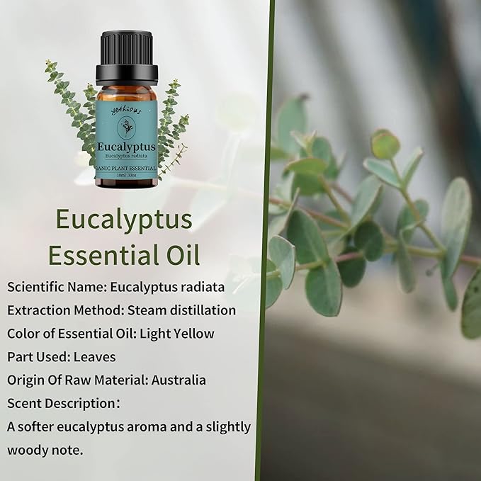 yethious Eucalyptus Essential Oils for Diffuser & Aromatherapy Pure Eucalyptus Oil for Skin, Hair Gift Oils - 10ML