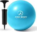 ProBody Pilates Small Exercise Ball with Pump - 9 Inch Workout Ball for Stability, Barre, Yoga, Core & Physical Therapy