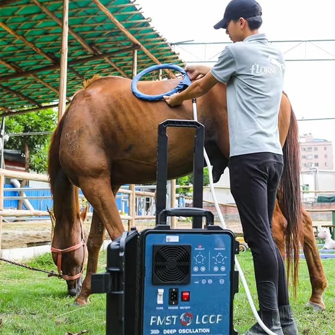 PEMF Therapy Device for Horses - Magnetic Pulse Machine w/X-Wing, Single & Butterfly Loop Attachments - Lameness Relief, Colic Care & Pain Recovery